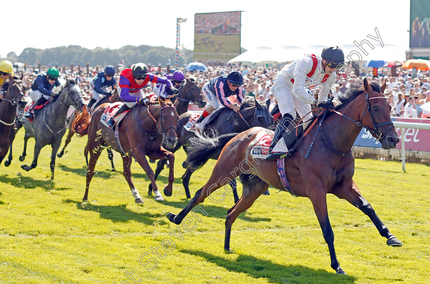 Hamish-0004 
 HAMISH (James Doyle) wins The Sky Bet Melrose Stakes
York 24 Aug 2019 - Pic Steven Cargill / Racingfotos.com