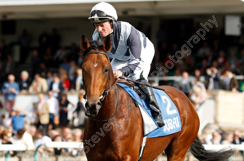 Circus-Maximus-0001 
 CIRCUS MAXIMUS (Seamie Heffernan)
Newmarket 13 Oct 2018 - Pic Steven Cargill / Racingfotos.com