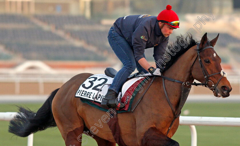 Pierre-Lapin-0002 
 PIERRE LAPIN exercising for trainer Adrian McGuinness
Meydan, Dubai, 3 Feb 2022 - Pic Steven Cargill / Racingfotos.com