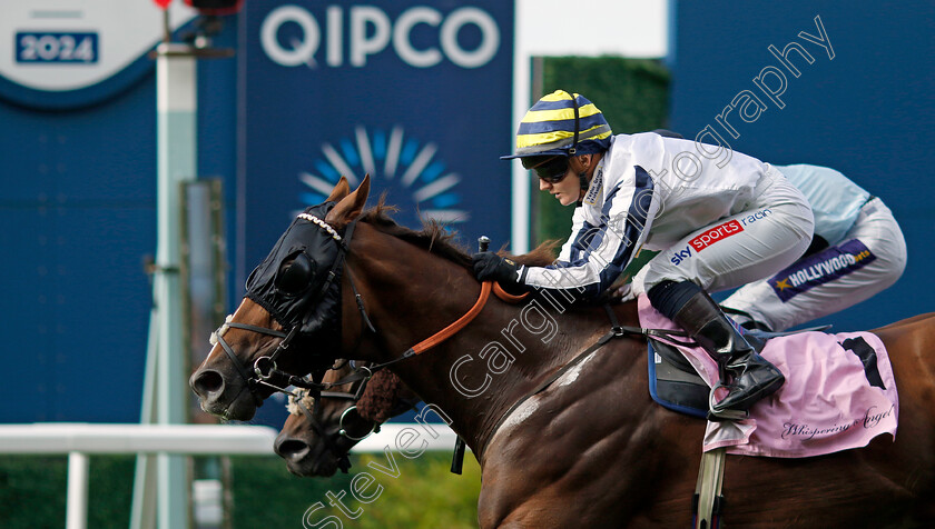 Albasheer-0002 
 ALBASHEER (Hollie Doyle) wins The Whispering Angel Handicap
Ascot 27 Jul 2024 - Pic Steven Cargill / Racingfotos.com