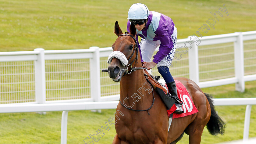 Stormbuster 
 STORMBUSTER (David Probert)
Sandown 1 Jul 2022 - Pic Steven Cargill / Racingfotos.com