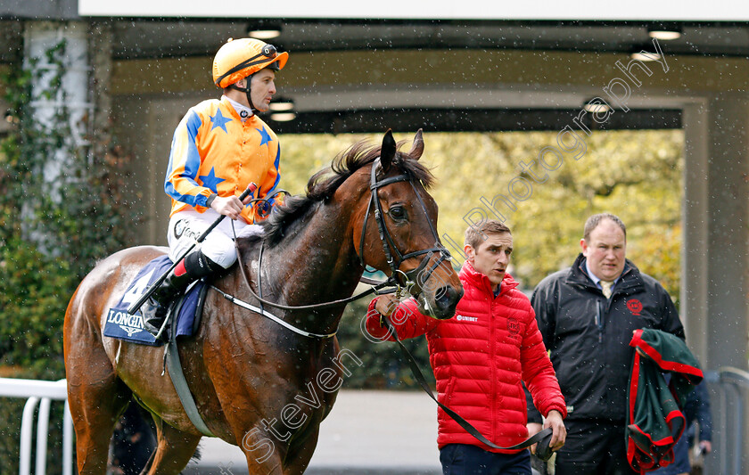 Torcedor-0009 
 TORCEDOR (Colm O'Donoghue) after The Longines Sagaro Stakes Ascot 2 May 2018 - Pic Steven Cargill / Racingfotos.com