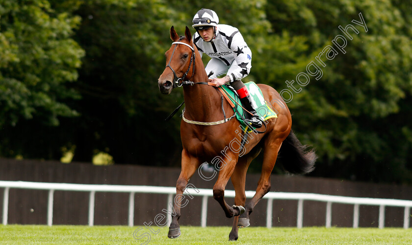 Teej-A-0001 
 TEEJ A (Clifford Lee)
Newmarket 12 Jul 2024 - Pic Steven Cargill / Racingfotos.com