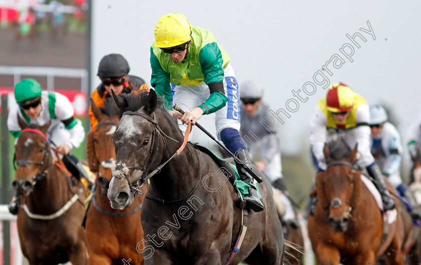 Ferrous-0001 
 FERROUS (David Probert) wins The Virgin Bet Fives Handicap
Kempton 6 Apr 2024 - Pic Steven Cargill / Racingfotos.com