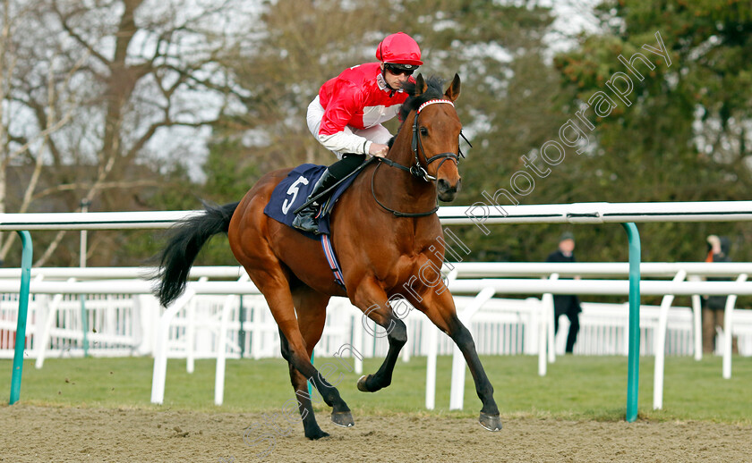 Photosynthesis-0005 
 PHOTOSYNTHESIS (Jack Mitchell) winner of The Boost Your Acca At Betmgm Handicap
Lingfield 20 Jan 2024 - Pic Steven Cargill / Racingfotos.com