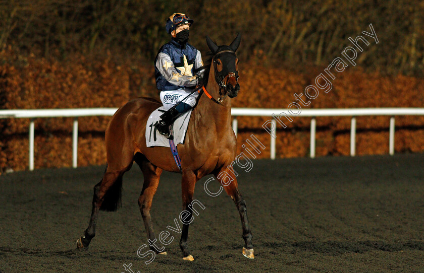 Plansina-0001 
 PLANSINA (David Probert)
Kempton 3 Feb 2021 - Pic Steven Cargill / Racingfotos.com