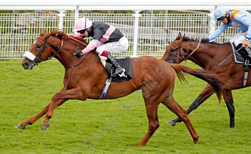 Classic-Lord-0005 
 CLASSIC LORD (Oisin Murphy) wins The Ladbrokes Watch Racing Online For Free Maiden Auction Stakes
Goodwood 30 Aug 2020 - Pic Steven Cargill / Racingfotos.com