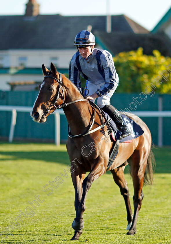 Hizaam-0002 
 HIZAAM (Harrison Shaw)
Yarmouth 18 Oct 2022 - Pic Steven Cargill / Racingfotos.com