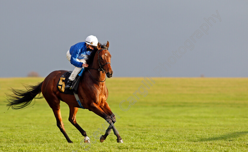 Zakouski-0001 
 ZAKOUSKI (William Buick) before winning The Bet In-Play At Mansionbet Ben Marshall Stakes
Newmarket 31 Oct 2020 - Pic Steven Cargill / Racingfotos.com