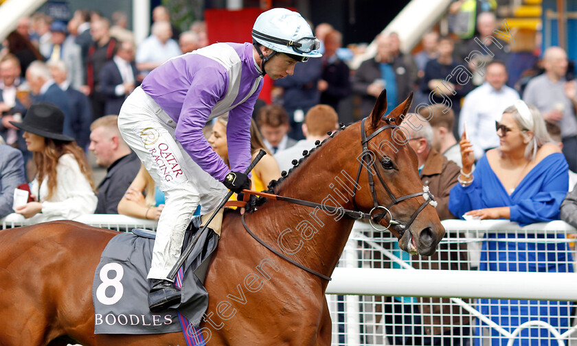 Stormbuster-0001 
 STORMBUSTER (Oisin Murphy) 
Chester 11 May 2023 - Pic Steven Cargill / Racingfotos.com