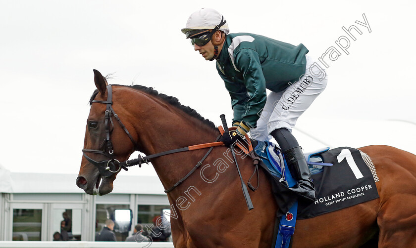 Feed-The-Flame-0001 
 FEED THE FLAME (Cristian Demuro)
Epsom 31 May 2024 - Pic Steven Cargill / Racingfotos.com