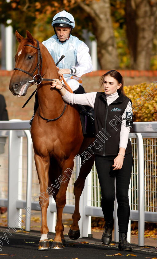 Twilight-Kiss-0001 
 TWILIGHT KISS (Neil Callan)
Newmarket 19 Oct 2022 - Pic Steven Cargill / Racingfotos.com