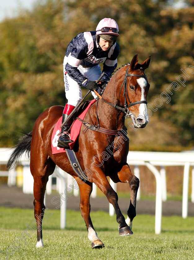 Leapaway-0001 
 LEAPAWAY (Richard Johnson)
Kempton 21 Oct 2018 - Pic Steven Cargill / Racingfotos.com