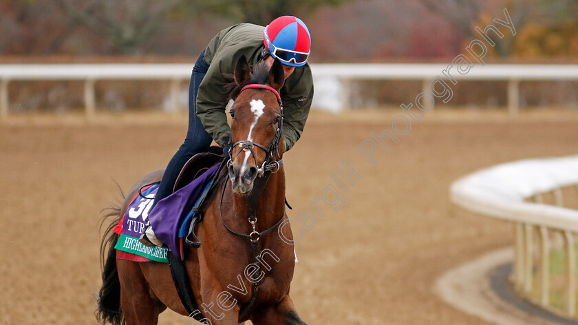 Highland-Chief-0002 
 HIGHLAND CHIEF training for the Breeders' Cup Turf
Keeneland, USA 31 Oct 2022 - Pic Steven Cargill / Racingfotos.com