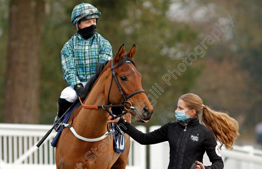 Who-Cares-Wins-0002 
 WHO CARES WINS (Hollie Doyle)
Lingfield 9 Jan 2021 - Pic Steven Cargill / Racingfotos.com