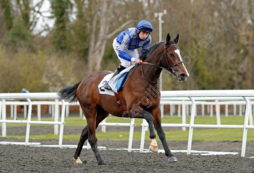 Arthur s-Realm-0001 
 ARTHUR'S REALM (Luke Morris)
Kempton 27 Mar 2021 - Pic Steven Cargill / Racingfotos.com