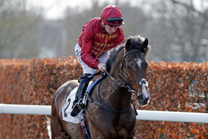 Kings-Shield-0001 
 KINGS SHIELD (Oisin Murphy) winner of The Betfred Like Us On Facebook Stakes Kempton 7 Apr 2018 - Pic Steven Cargill / Racingfotos.com