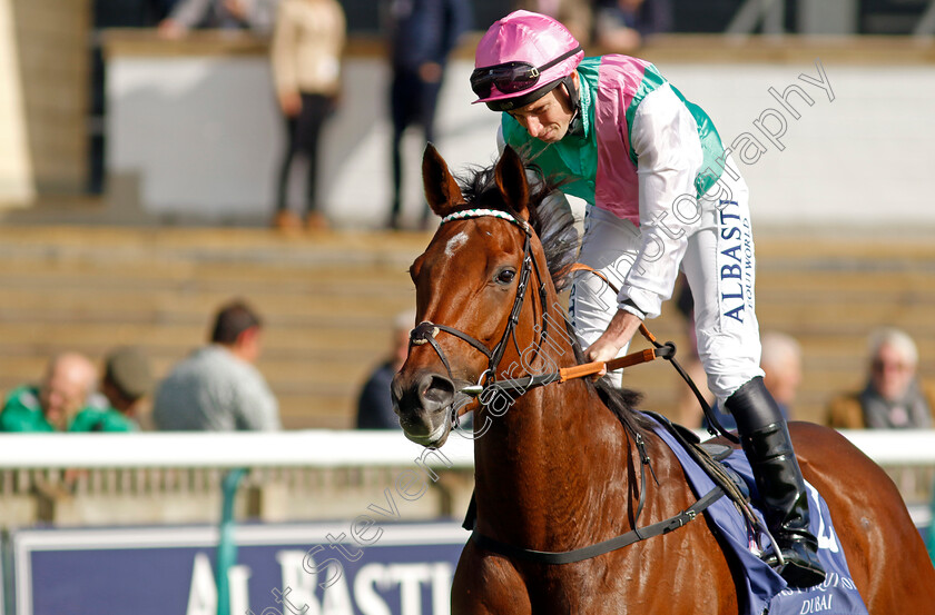 Time-Lock-0007 
 TIME LOCK (Ryan Moore) winner of The Princess Royal Al Basti Equiworld Dubai Stakes
Newmarket 29 Sep 2023 - Pic Steven Cargill / Racingfotos.com