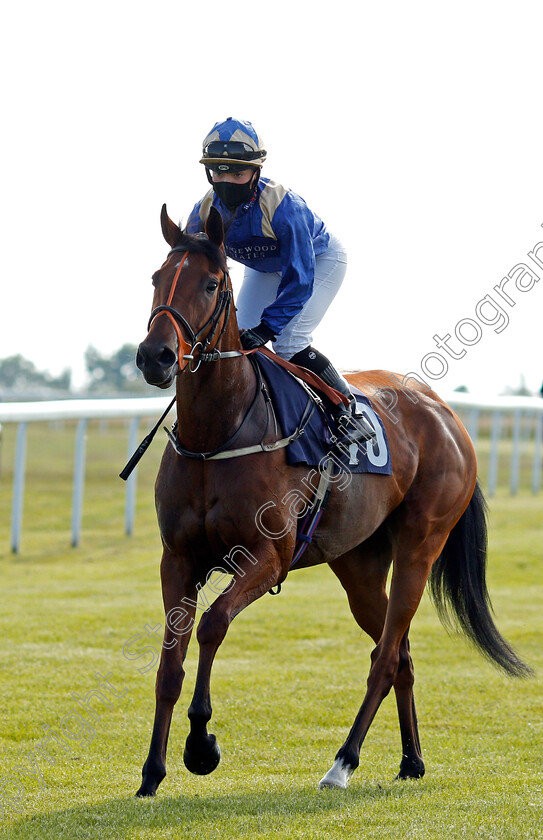 Cherish-0002 
 CHERISH (Mollie Phillips) winner of The Free Tips Daily On attheraces.com Handicap
Bath 23 Jun 2021 - Pic Steven Cargill / Racingfotos.com