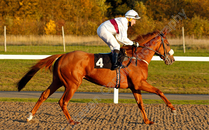 Western-Beat-0002 
 WESTERN BEAT (John Egan) winner of The tote Placepot Your First Bet Nursery
Chelmsford 22 Oct 2020 - Pic Steven Cargill / Racingfotos.com