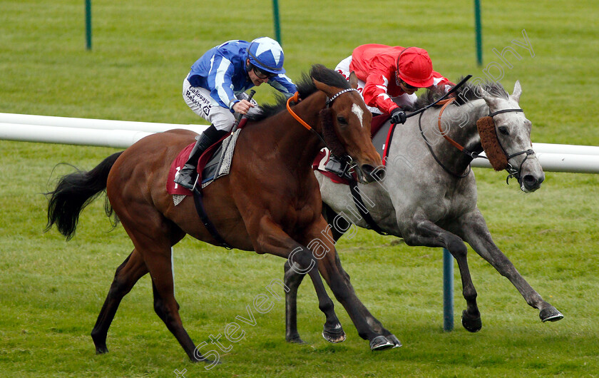 Finniston-Farm-0004 
 FINNISTON FARM (left, Richard Kingscote) beats RED FORCE ONE (right) in The Armstrong Family Handicap
Haydock 25 May 2019 - Pic Steven Cargill / Racingfotos.com