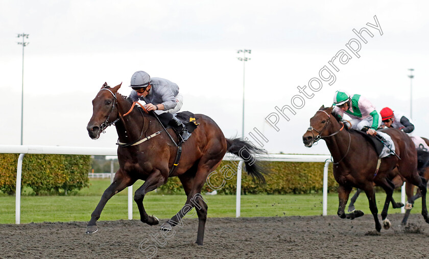 Night-Raider-0004 
 NIGHT RAIDER (Tom Marquand) wins The ebfstallions.com Conditions Stakes
Kempton 2 Oct 2024 - Pic Steven Cargill / Racingfotos.com