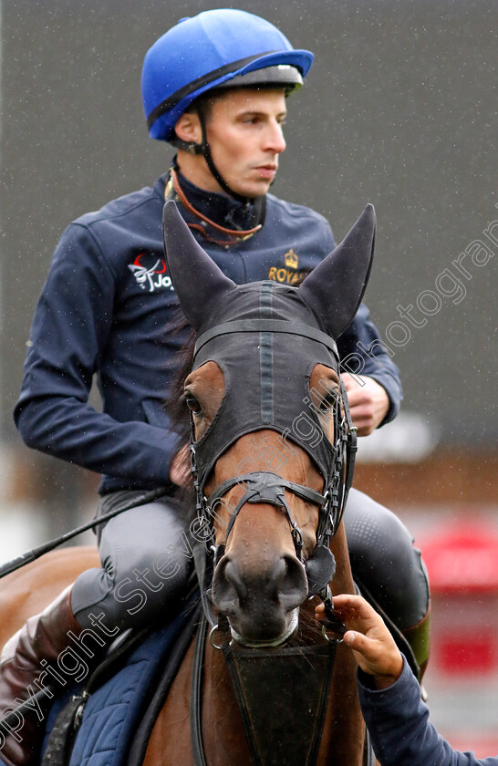 Emily-Upjohn-0003 
 EMILY UPJOHN (William Buick) preparing for racecourse gallop
Newmarket 1 Jul 2023 - Pic Steven Cargill / Racingfotos.com