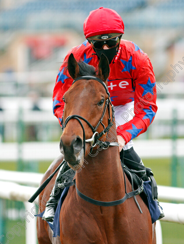 Credence-Star-0001 
 CREDENCE STAR (James Doyle)
Doncaster 28 Mar 2021 - Pic Steven Cargill / Racingfotos.com