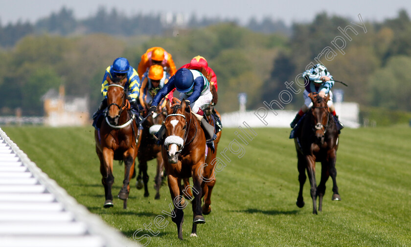 Coltrane-0005 
 COLTRANE (Oisin Murphy) wins The Longines Sagaro Stakes
Ascot 3 May 2023 - Pic Steven Cargill / Racingfotos.com