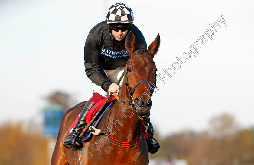 Irish-Prophecy-0001 
 IRISH PROPHECY (Aidan Coleman) Kempton 26 Dec 2017 - Pic Steven Cargill / Racingfotos.com