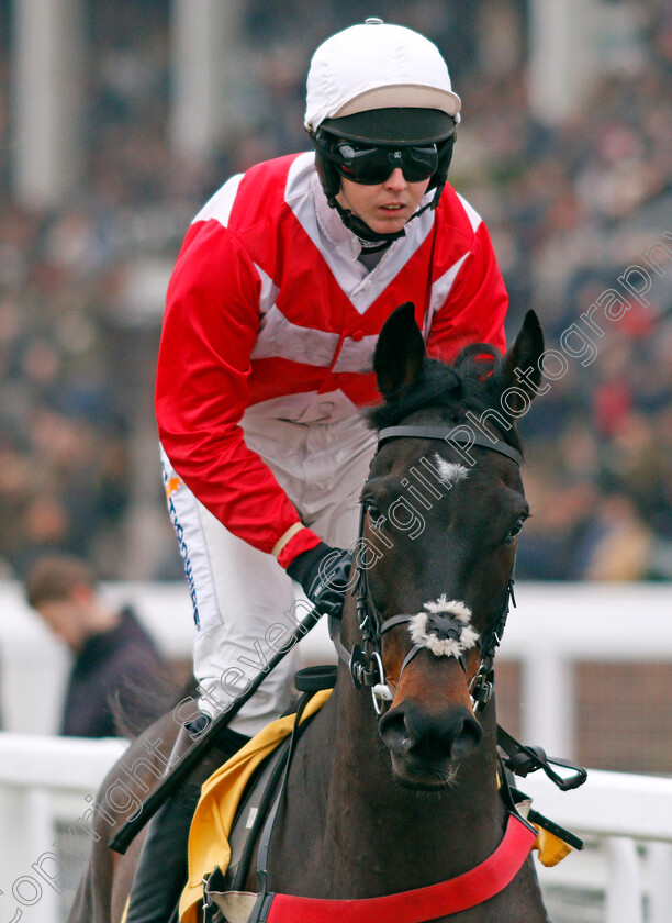 Gerolamo-Cardano-0002 
 GEROLAMO CARDANO (Kielan Woods)
Cheltenham 25 Jan 2020 - Pic Steven Cargill / Racingfotos.com