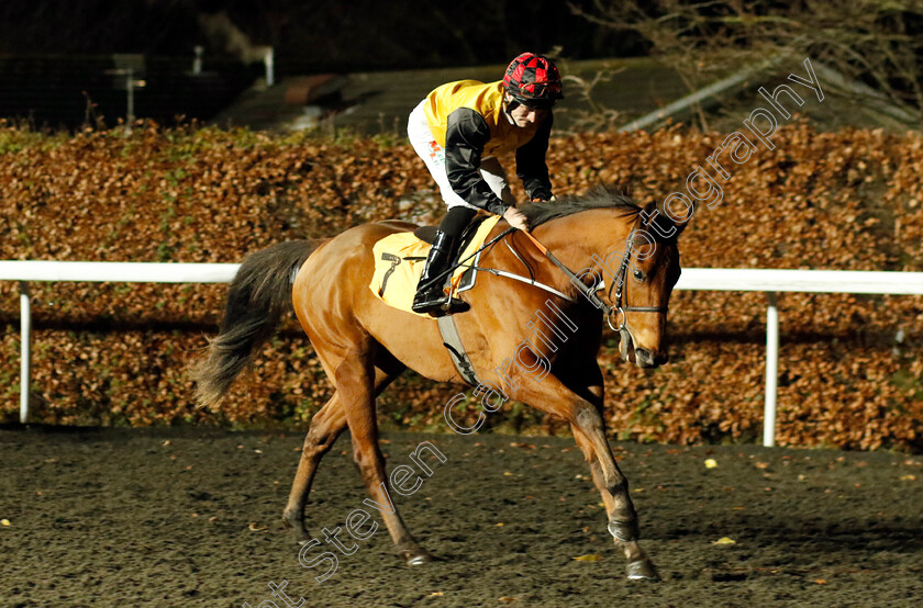 Star-Pupil-0001 
 STAR PUPIL (Finley Marsh)
Kempton 13 Dec 2023 - Pic Steven Cargill / Racingfotos.com