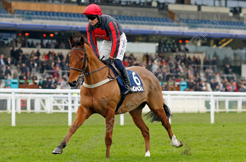 Prince-Quali-0002 
 PRINCE QUALI (Harry Kimber)
Ascot 21 Dec 2024 - Pic Steven Cargill / Racingfotos.com