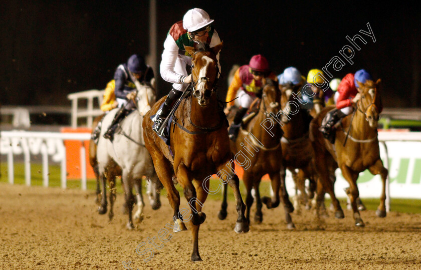 She s-Got-You-0005 
 SHE'S GOT YOU (Robert Havlin) wins The Ladbrokes Home Of The Odds Boost Fillies Novice Stakes Div1
Wolverhampton 10 Dec 2018 - Pic Steven Cargill / Racingfotos.com