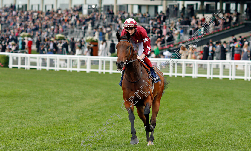 Deja-0001 
 DEJA (David Egan)
Ascot 19 Jun 2021 - Pic Steven Cargill / Racingfotos.com