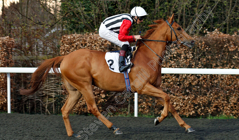 Harry s-Bar-0001 
 HARRY'S BAR (George Wood)
Kempton 23 Mar 2019 - Pic Steven Cargill / Racingfotos.com