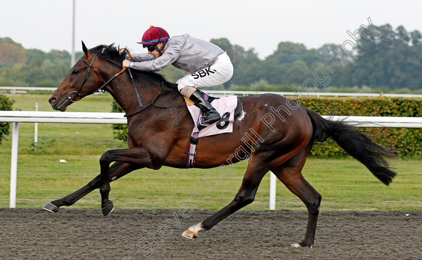 Migdam-0006 
 MIGDAM (Richard Kingscote) wins The Unibet British Stallion Studs EBF Restricted Novice Stakes
Kempton 3 Sep 2021 - Pic Steven Cargill / Racingfotos.com