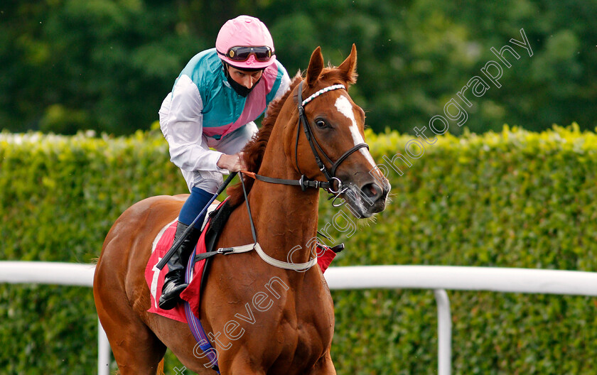 Beheld-0001 
 BEHELD (William Buick)
Kempton 2 Jun 2021 - Pic Steven Cargill / Racingfotos.com