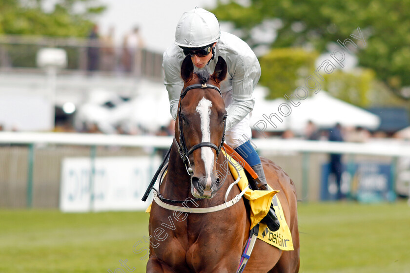 Golden-Flame 
 GOLDEN FLAME (William Buick)
Newmarket 1 May 2022 - Pic Steven Cargill / Racingfotos.com