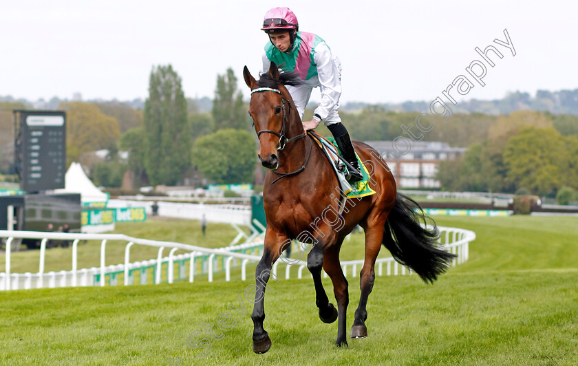 Macduff-0001 
 MACDUFF (Rossa Ryan)
Sandown 26 Apr 2024 - Pic Steven Cargill / Racingfotos.com