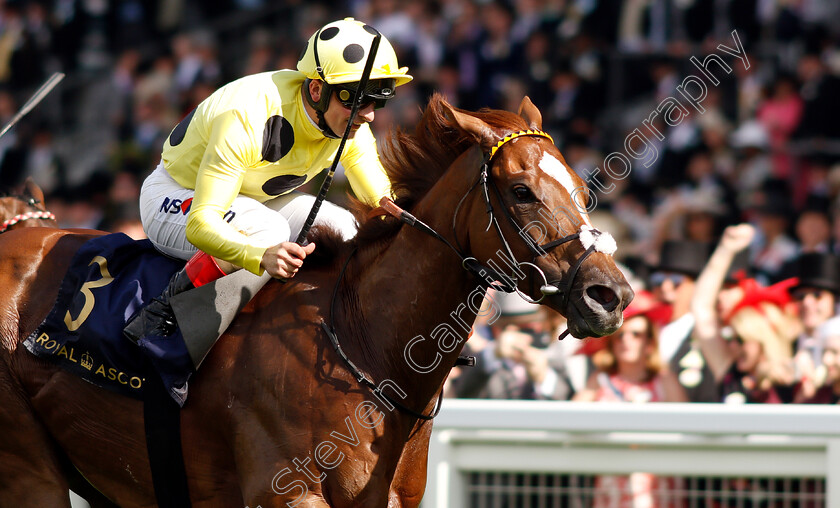 Cape-Byron-0007 
 CAPE BYRON (Andrea Atzeni) wins The Wokingham Stakes
Royal Ascot 22 Jun 2019 - Pic Steven Cargill / Racingfotos.com