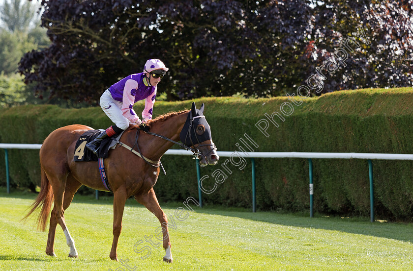 Fougere-0010 
 FOUGERE (David Egan) winner of The Discover Whats Trending At Rhino.bet Casino Handicap
Nottingham 19 Jul 2024 - Pic Steven Cargill / Megan Dent / Racingfotos.com