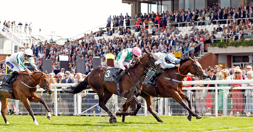 Mansa-Musa-0003 
 MANSA MUSA (farside, Rossa Ryan) beats ARRAY (nearside) in The British EBF 40th Anniversary Maiden Stakes
Goodwood 1 Aug 2023 - Pic Steven Cargill / Racingfotos.com