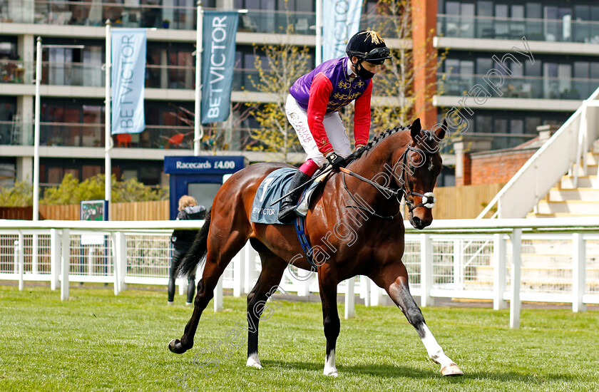 Tactical-0001 
 TACTICAL (Oisin Murphy)
Newbury 15 May 2021 - Pic Steven Cargill / Racingfotos.com