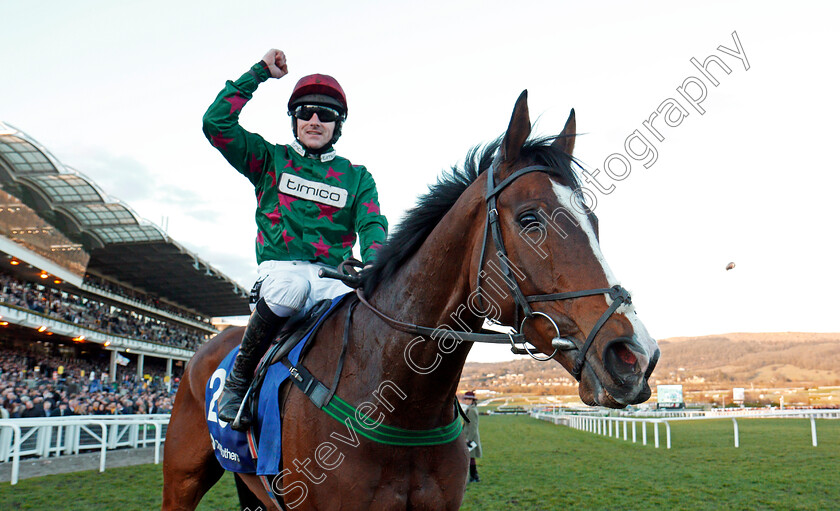 Mister-Whitaker-0006 
 MISTER WHITAKER (Brian Hughes) after The Close Brothers Novices Handicap Chase Cheltenham 13 Mar 2018 - Pic Steven Cargill / Racingfotos.com