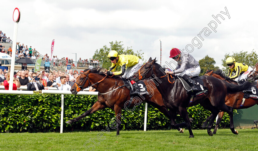 Caturra-0004 
 CATURRA (left, Adam Kirby) beats ARMOR (centre) in The Wainwright Flying Childers Stakes
Doncaster 10 Sep 2021 - Pic Steven Cargill / Racingfotos.com