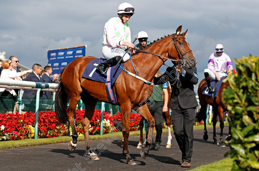 Thomas-Hobson-0001 
 THOMAS HOBSON (Ryan Moore) Doncaster 15 Sep 2017 - Pic Steven Cargill / Racingfotos.com