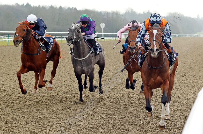 Rusper-0004 
 RUSPER (right, Dougie Costello) beats ZALSHAH (left) and GUVENOR'S CHOICE (2nd left) in The 32Red Casino Handicap Lingfield 6 Jan 2018 - Pic Steven Cargill / Racingfotos.com