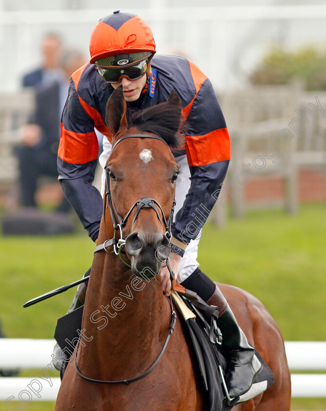 Me-Too-Nagasaki-0001 
 ME TOO NAGASAKI (James Doyle) Goodwood 27 Sep 2017 - Pic Steven Cargill / Racingfotos.com