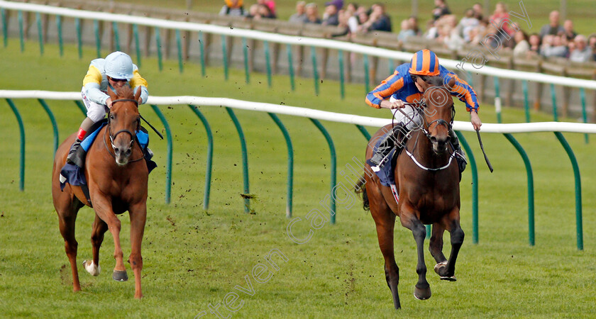 Bye-Bye-Baby-0001 
 BYE BYE BABY (Ryan Moore) beats ALTYN ORDA (left) in The Blandford Bloodstock Maiden Fillies Stakes Newmarket 30 Sep 2017 - Pic Steven Cargill / Racingfotos.com